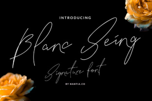 Blanc Seing: A Script Handwritten Font for Creative Crafters