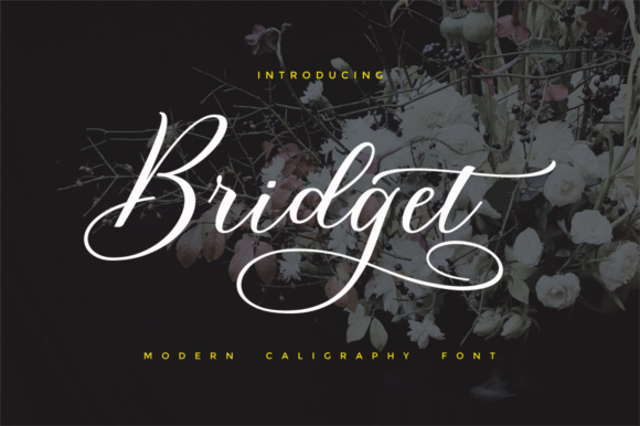 Bridget Script: A Modern Script Font for Digital Branding and Web Design