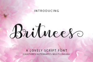 Britnees Script: A Font That Elevates Your Brand’s Visual Identity