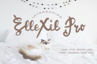 ElleXit Pro: A Script Handwritten Font for Crafters and Product Creators