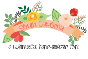 PN South Carolina: A Script Handwritten Font for Modern Web Design