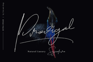 Prodigal: A Script Handwritten Font for Modern Web Design
