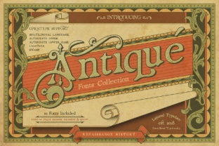 Renaissance Garden: A Serif Font for Timeless Web Design